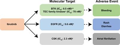 Frontiers | Monitoring And Managing BTK Inhibitor Treatment-Related ...